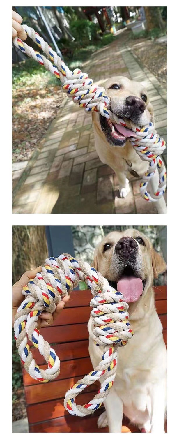 Large dog playing with a jumbo cotton rope knot toy outdoors