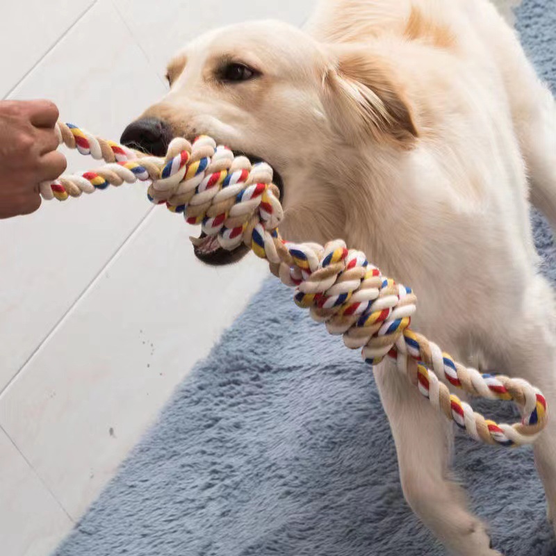 Dog tugging a jumbo cotton rope knot toy indoors