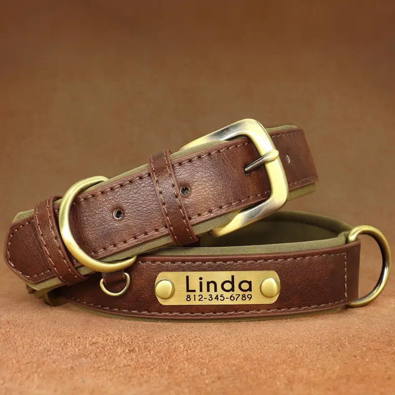 Brown padded dog collar with a blank brass-tone nameplate