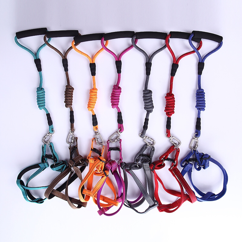 Leashes category image
